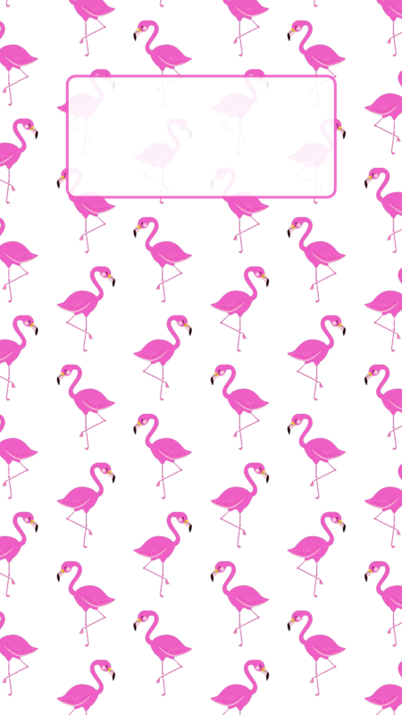 Featured image of post Flamingo Hintergrundbild Iphone : Hintergrundbilder 1920x1080 full hd, desktop hintergrund hd 1080p.